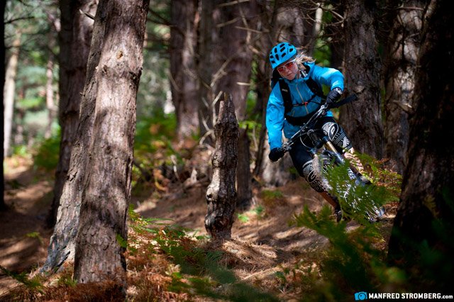 Im lichten Wald ist es gut Radfahren - Foto Manfred Stromberg