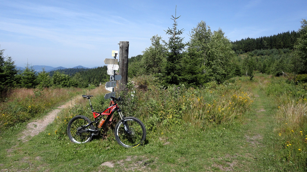 Mtb singletrail schwarzwald