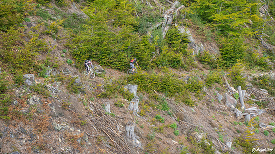 1905529-hdkh7eoyq9nc-2015_9_27_krippenschneebergdecinknigsteinradtour_21-medium.jpg