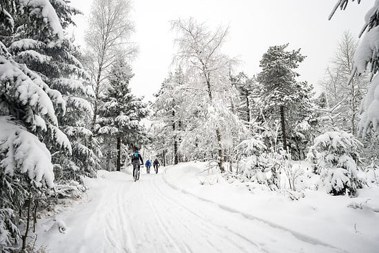 1953977-bz9k27emny9k-20160116_27l_zittauergebirge-medium.jpg