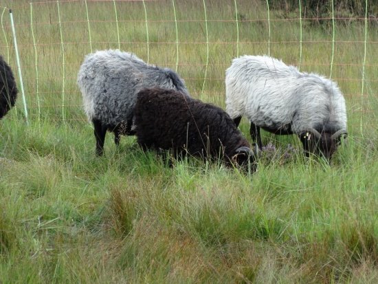 Westweg-Versuch 2012 129