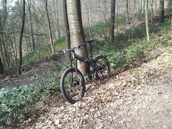 Heidelberg - Königstuhl #1