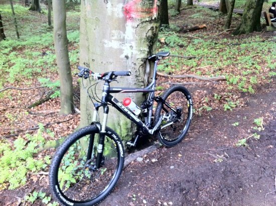 Stevens Glide SLX 2010