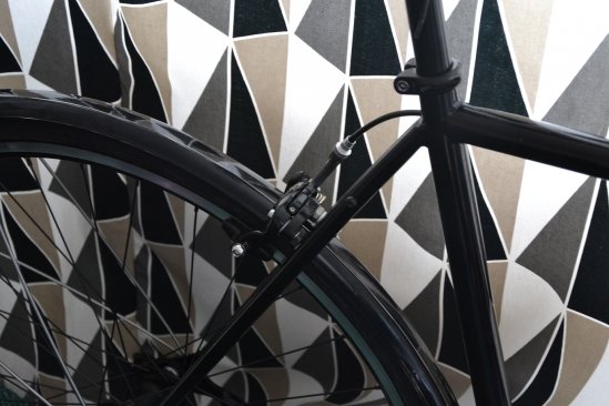 Bremse HR mit Schutzblech