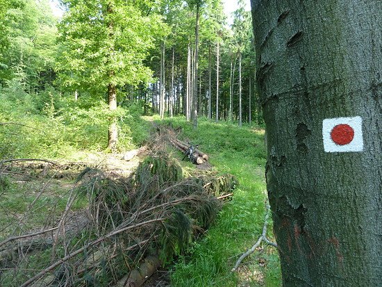 der forst, der forst