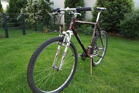 American Eagle frontview