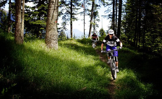 Gehrig Twins in Aciton