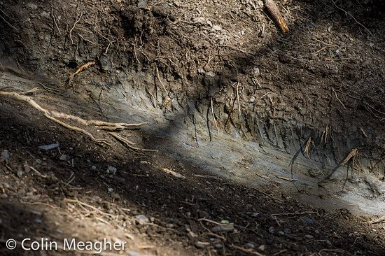 Der Boden verfestigt sich und die schlitternden Hinterreifen ziehen lange Schlieren vor den Kurven.