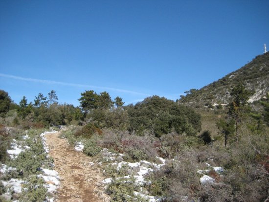 Mont Chauve d´Aspremont 4