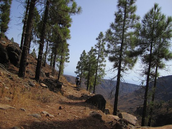 Gran Canaria Trails