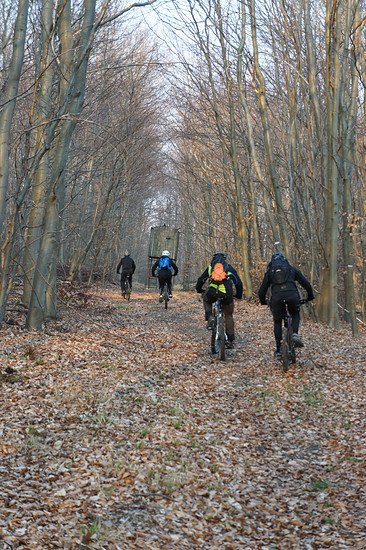 Trail von Erkerode zum Reitlingstal