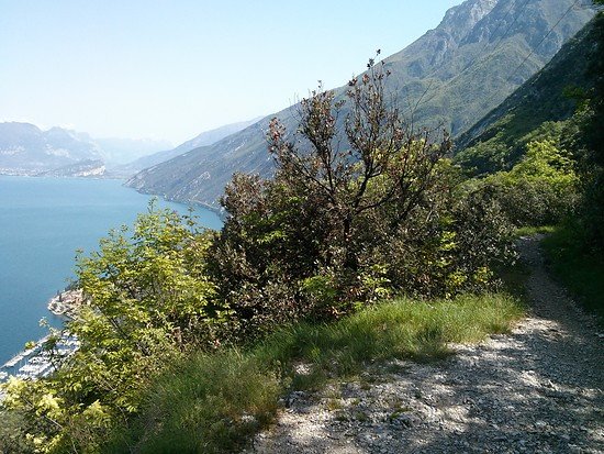 Gardasee - Trail nach Navene