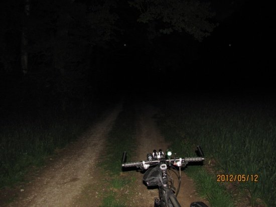 Kontrollbild mit Foto-Blitzlicht