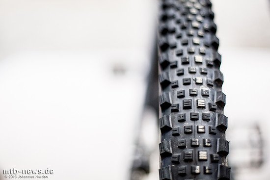 Ein Spezialist, kein Allrounder. Auf trockenem Grund und sandigen Böden soll er aber viel können.