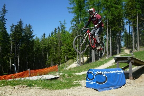 semmering blue tomato