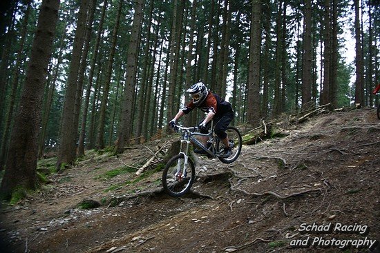 IMG 9374wasserzeichen