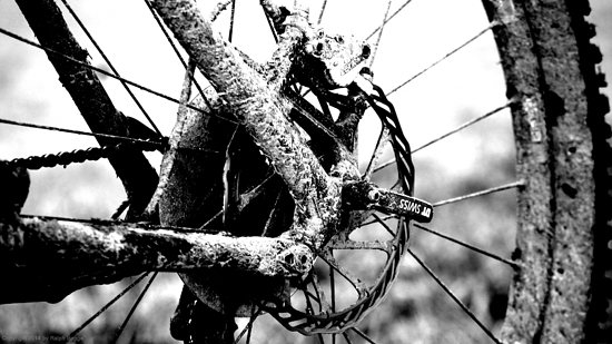 Nerve AM 7.0 Elixir 5