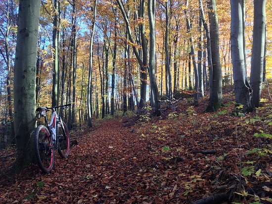 Am Deckersberg / Happurg