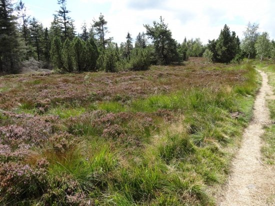 Westweg-Versuch 2012 124