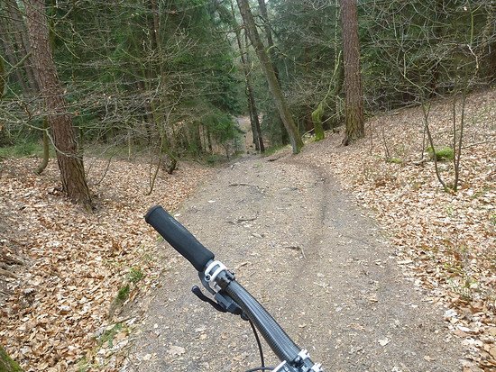 Trail richtung Paul - Roth - Stein