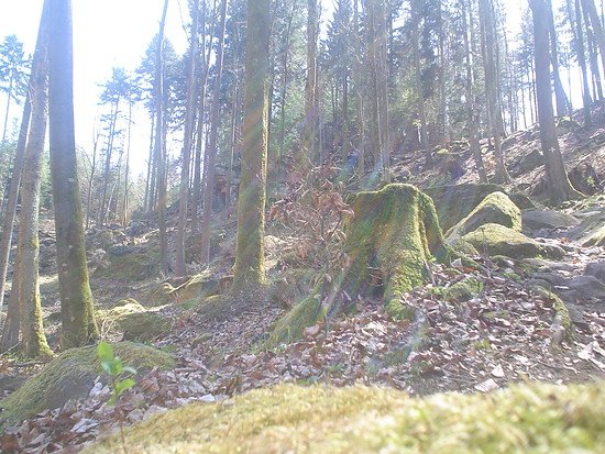 Falkensteigabfahrt 1