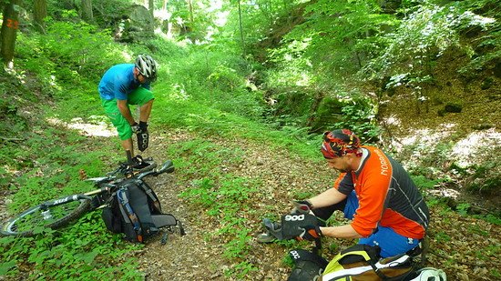 Nesselvorbeuge (FILEminimizer)