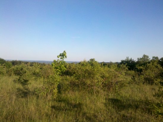 2012-05-24 19-22-31 628