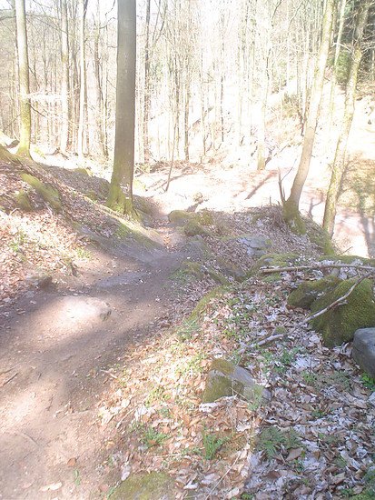 Trail Falkensteig3