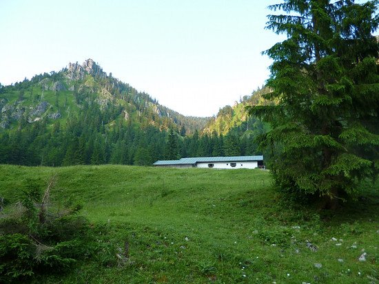 Apfel - Alm mit Gipfel