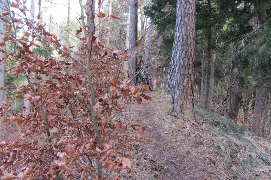 Tour Landgäne Höchsten 31 12 12 18