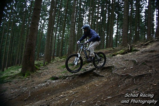 IMG 9348wasserzeichen