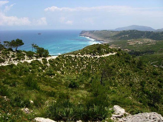 DH Cala torta SL702296