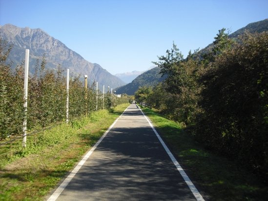Radweg an der Etsch