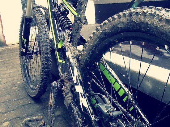Specialized Status FSR 1