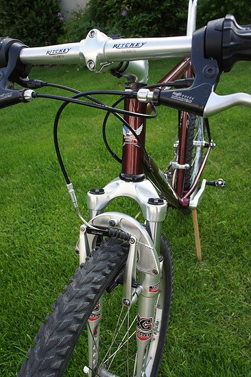 American Eagle Front