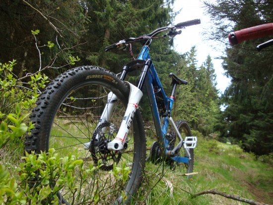 Schluckfreudiges Luder :) Nicolai Helius AFR