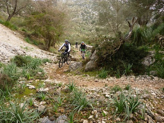 mediterrane Trails
