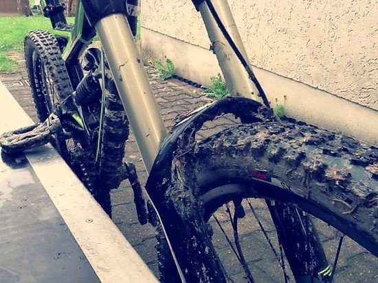 Specialized Status FSR 1
