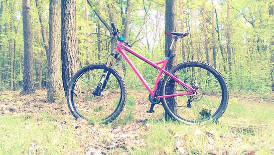 2Souls - Quarterhorse - 29" - RAL 4010