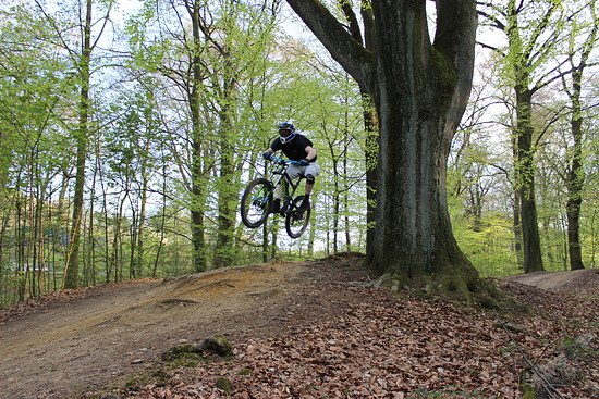 Torque FRX in Action