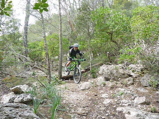 bikepark mallorca