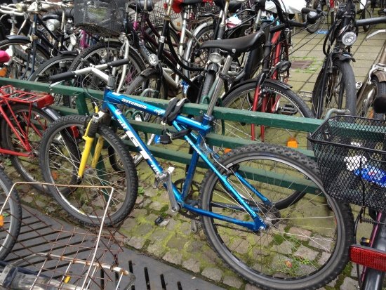 GT Terramoto SSP-Umbau