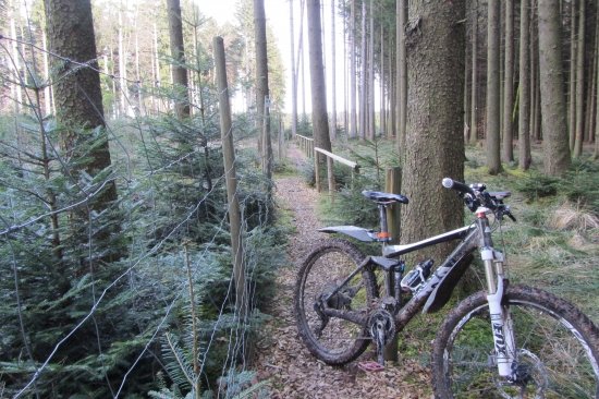 Tour Landgäne Höchsten 31 12 12 51