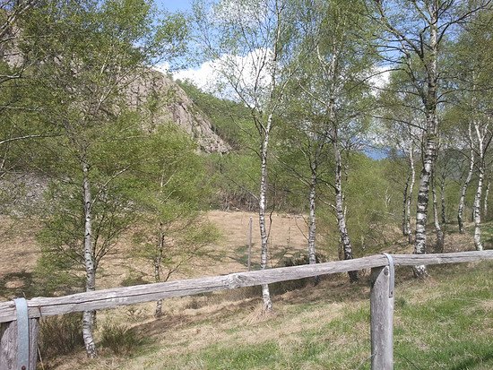 Route 66 Gola di Lago