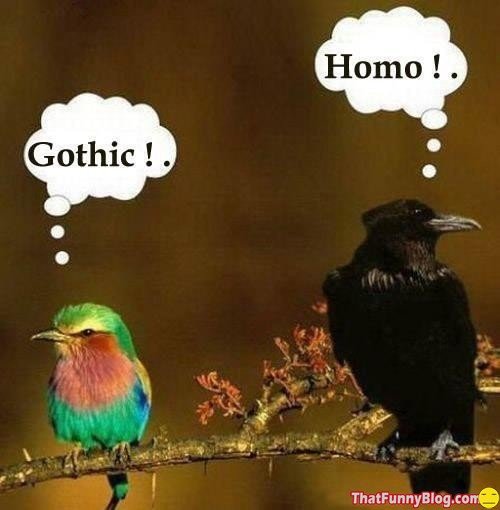 homo-vs-gothic