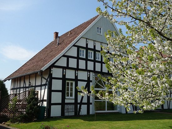 Fw: Aw: Sommer Sonne Sonnenschein