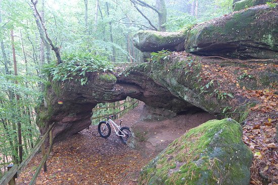 Harfatser @ Felsentor