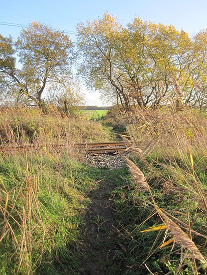 Schienenübergang bei Bechtsbüttel