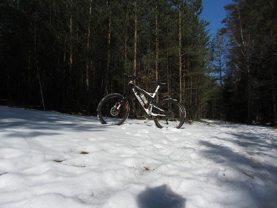 Einrollen 2013 Dresdner Heide