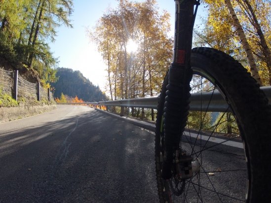 Lefty ist immer dabei